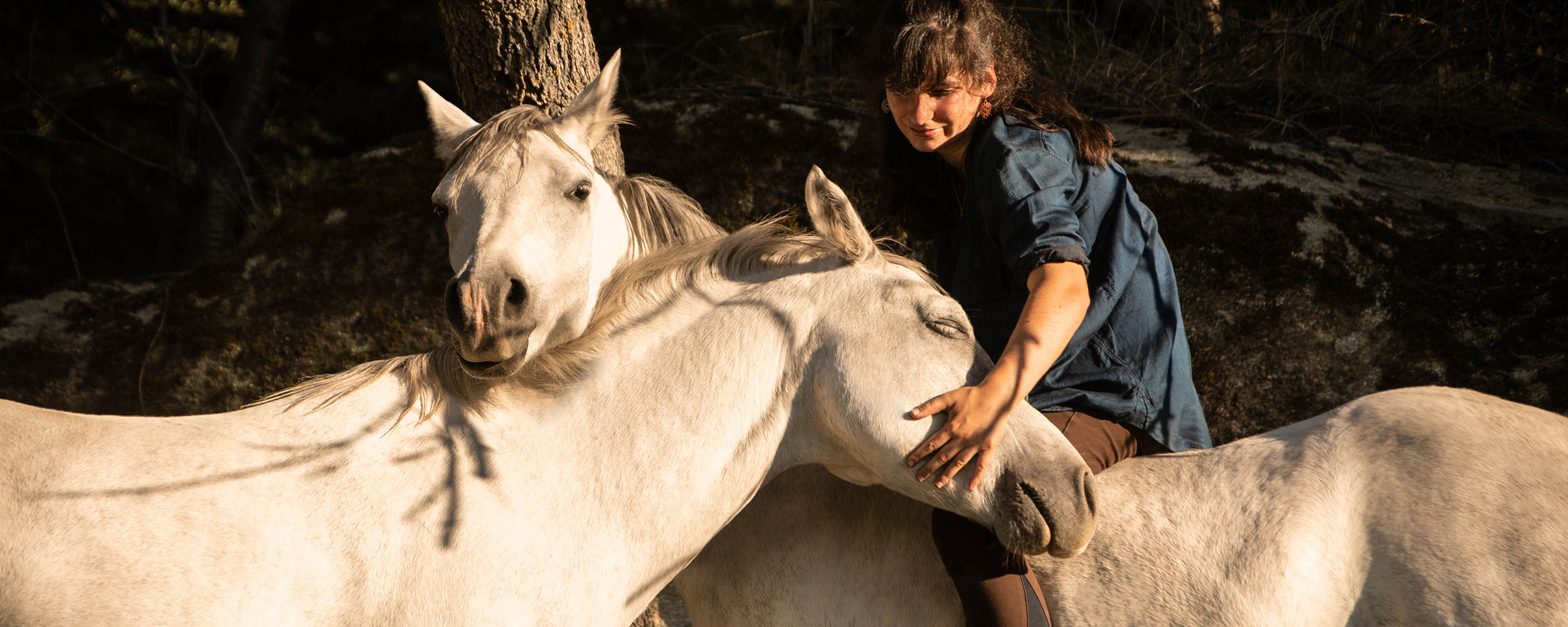 Equitation ethologique monte naturelle liberte freestyle cordelette dextre horsemanship